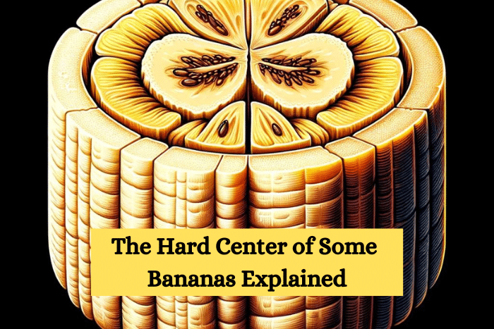 A detailed illustration showing a cross-section of a banana with a pronounced hard center