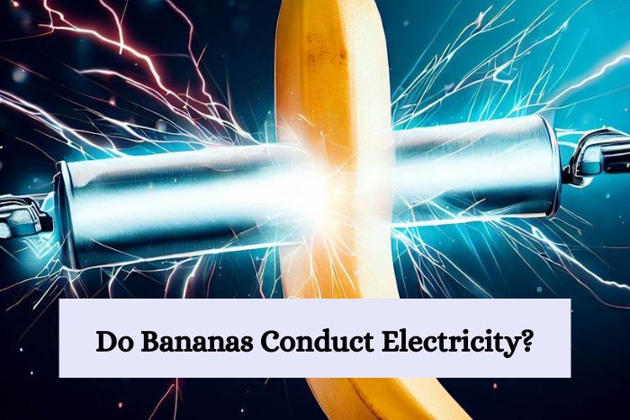 A dynamic hero image featuring a close-up of a banana held between two metal electrodes connected to an electrical circuit