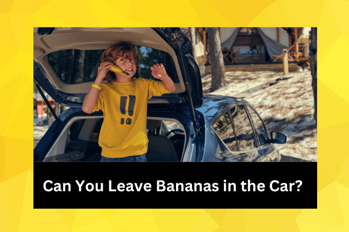 Child standing in car trunk and holding banana