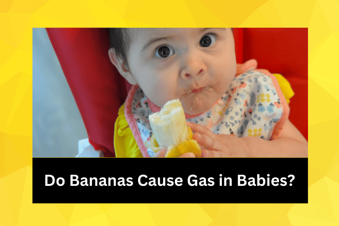 Baby with dark hair and dark eyes eating a banana