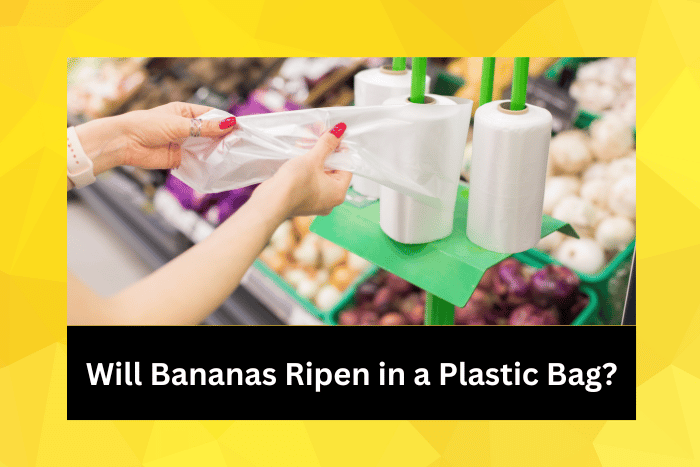 The use of plastic bags in stores and in the market