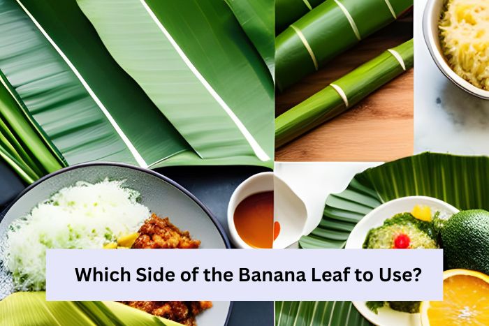 A collage of banana leaf images