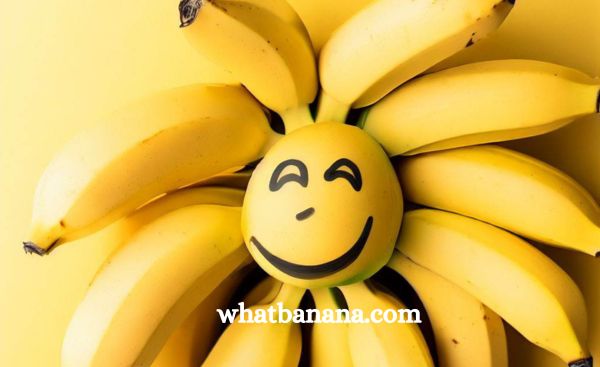 A playful image featuring a bunch of bananas arranged in the shape of a stress ball, with a smiling face drawn on one of the bananas
