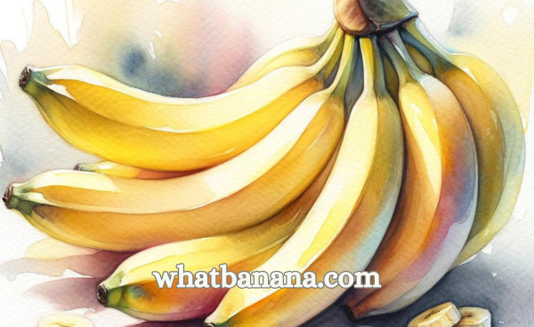 A watercolor painting of a bunch of bananas
